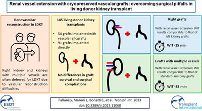 Renal Vessel Extension With Cryopreserved Vascular Grafts: Overcoming Surgical Pitfalls in Living Donor Kidney Transplant